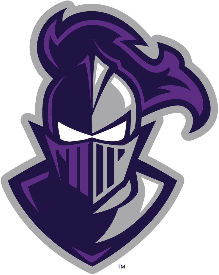 Furman Paladins 2013-Pres Alternate Logo diy iron on heat transfer